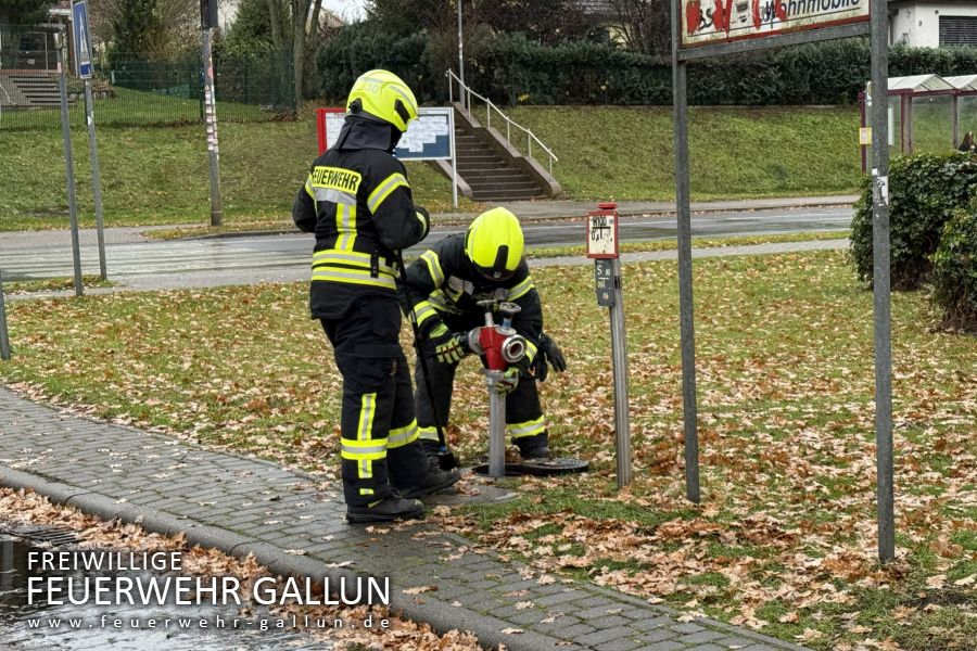 Zweiter Ausbildungstag 2025